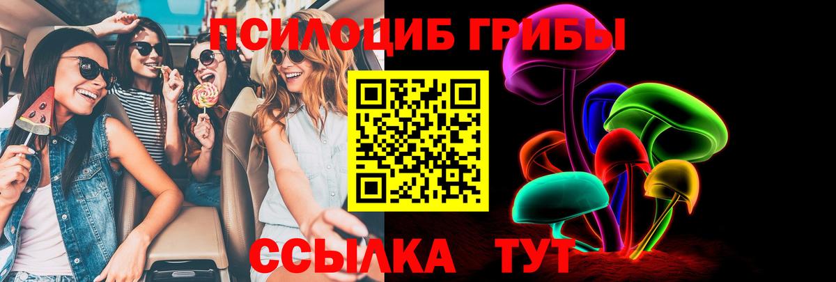 Александров  купить закладку  Вход с VPN  Псилоцибиновые грибы Psilocybine cubensis 